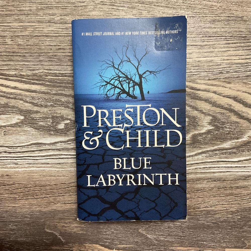 Preston & Child Blue Labrynth Paperback Book Fiction Vision Publishing
